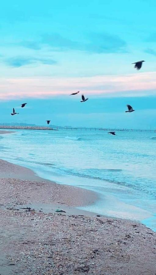Ayan Moonlight Residence Mamaia Eksteriør billede